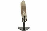 Smoky Quartz Crystal on Metal Stand - Brazil #209256-1